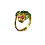 Anillo aslan