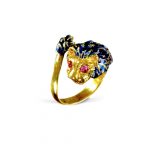 Anillo aslan